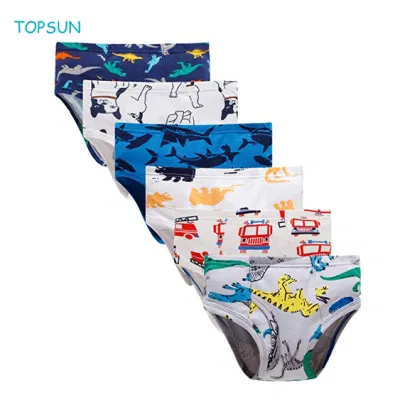 Toddler Boys Briefs Dinosaur Truck Kids Triangular Underwear (Pack of 6)